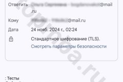 screenshot_20241124_113813-kopiya_result