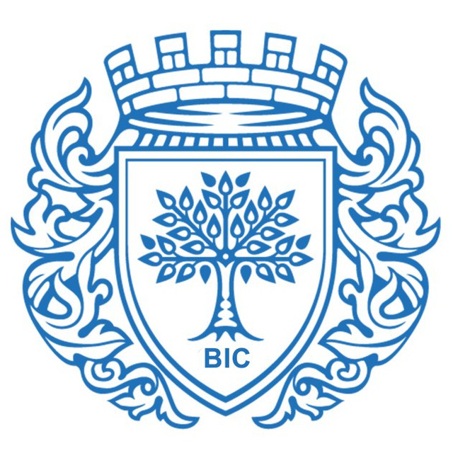 Бизнес-школа City Business School