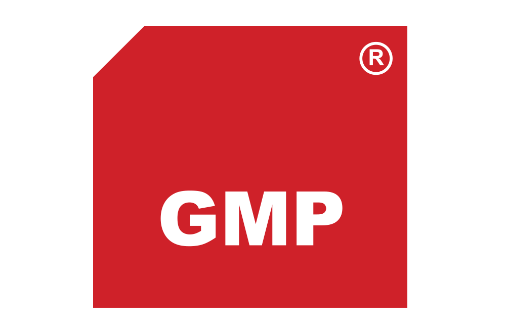 Программа MBA GMP